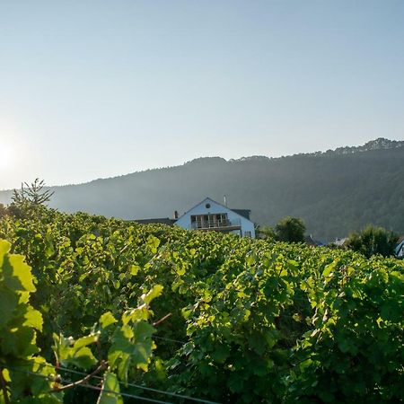 Weingut Johanneshof Minheim Екстериор снимка