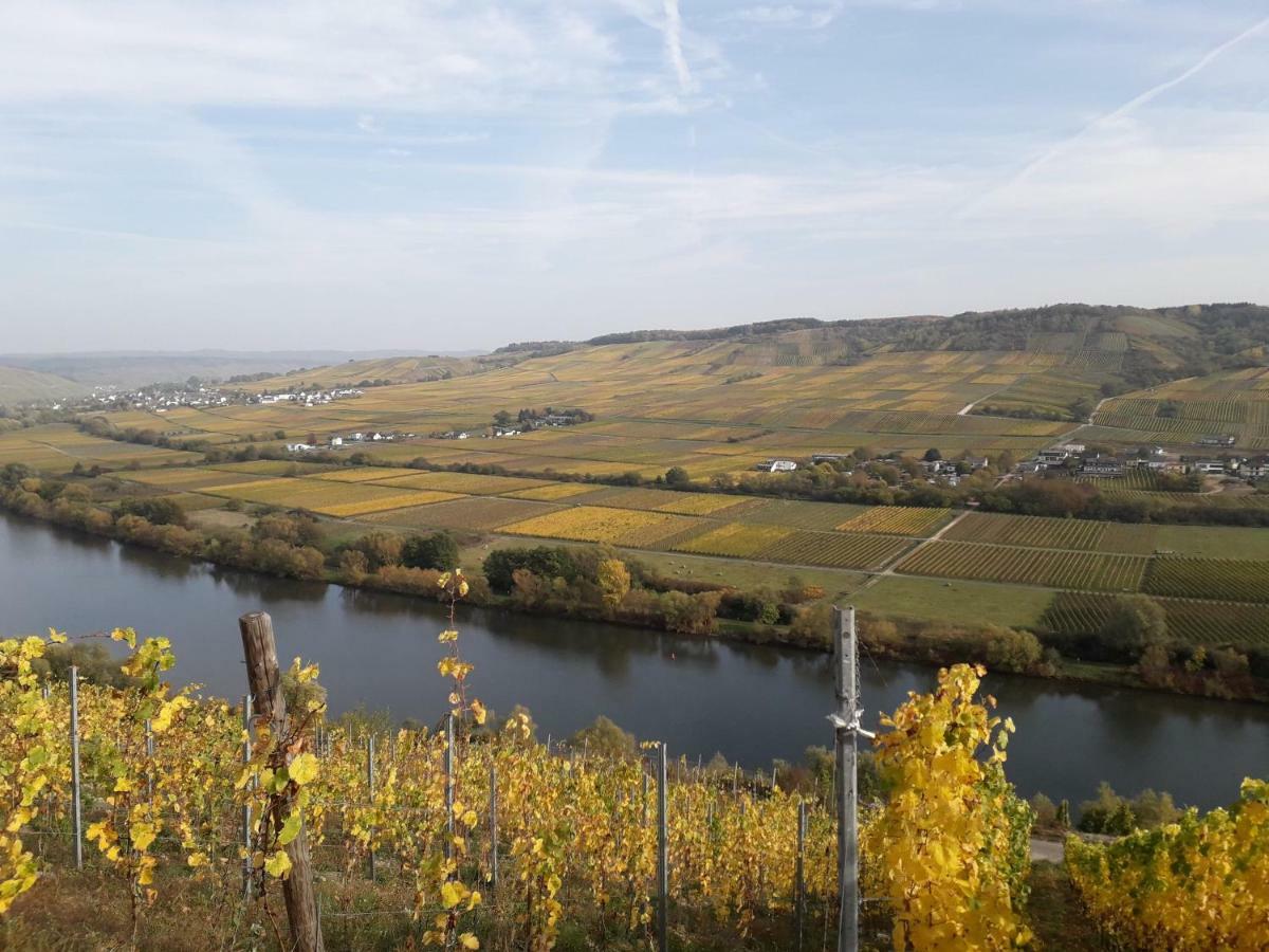 Weingut Johanneshof Minheim Екстериор снимка