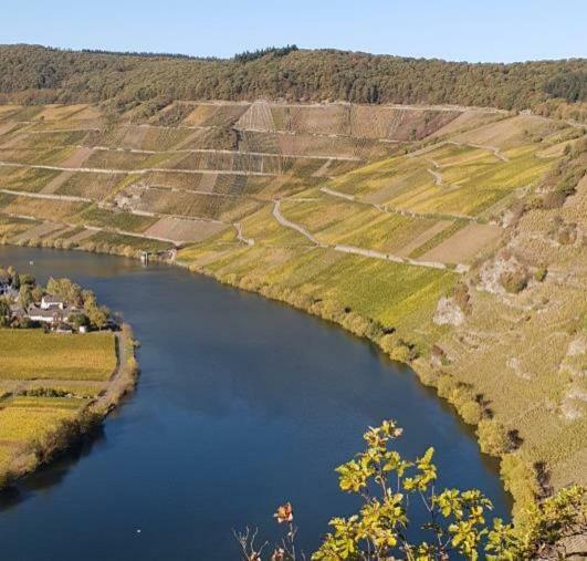 Weingut Johanneshof Minheim Екстериор снимка