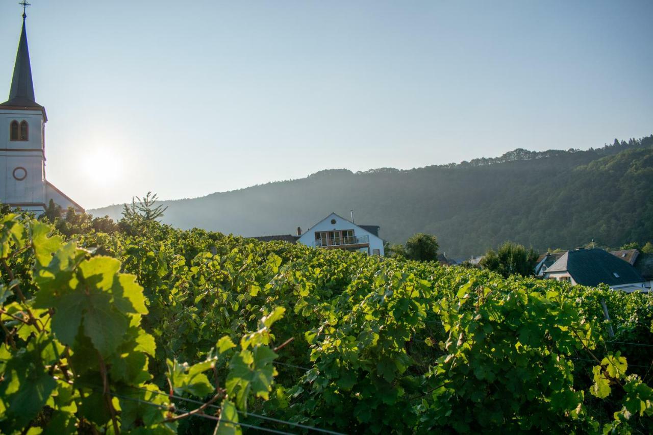 Weingut Johanneshof Minheim Екстериор снимка